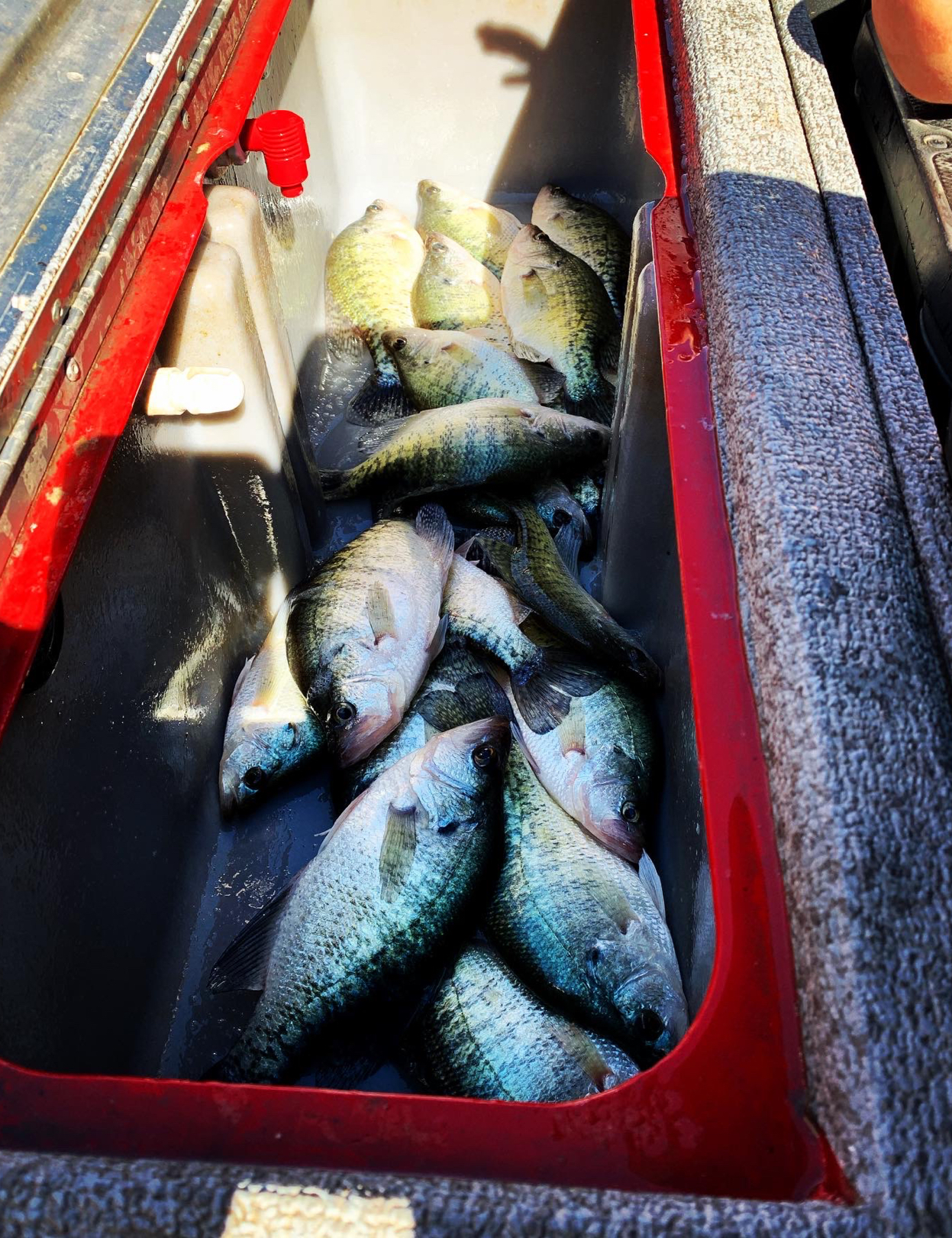 Oklahoma Crappie Fishing at its finest!