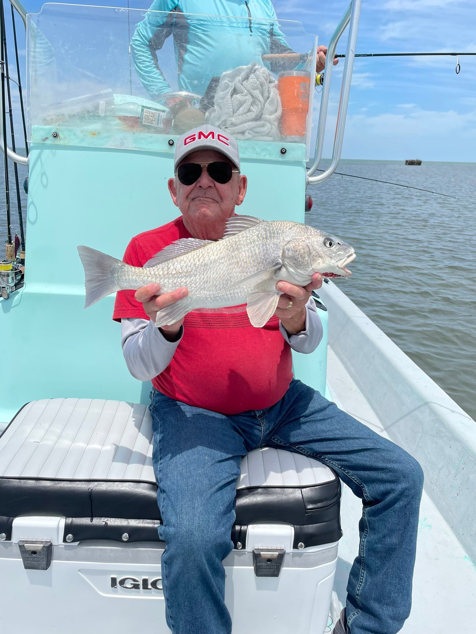 Black drum fish caught while fishing in Rockport TX