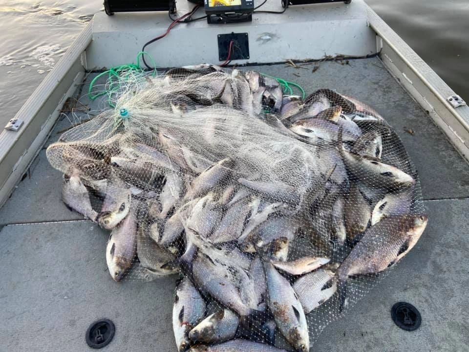 One fishing trip in NC