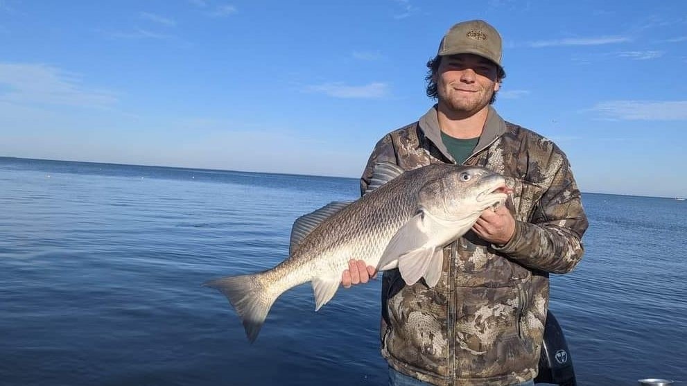 Angler with a large black drum fish in Sulphur
