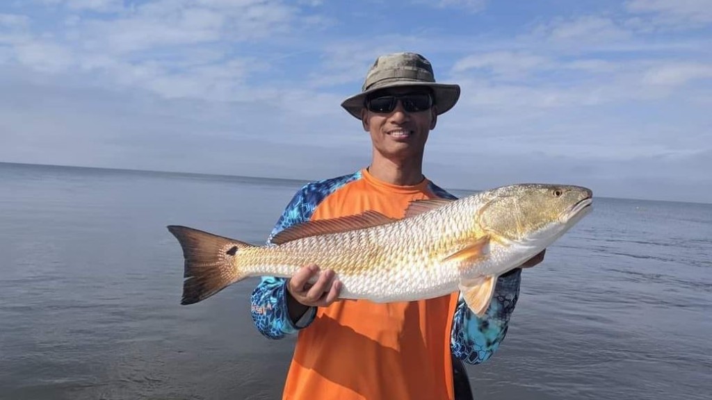Redfish measuring 26 inches caught in LA