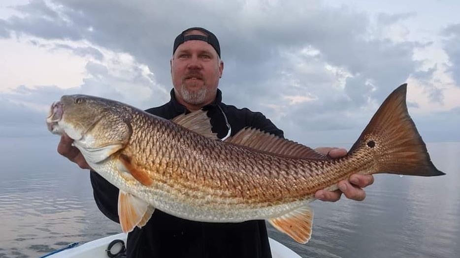 Redfish caught in Sulphur, Louisiana