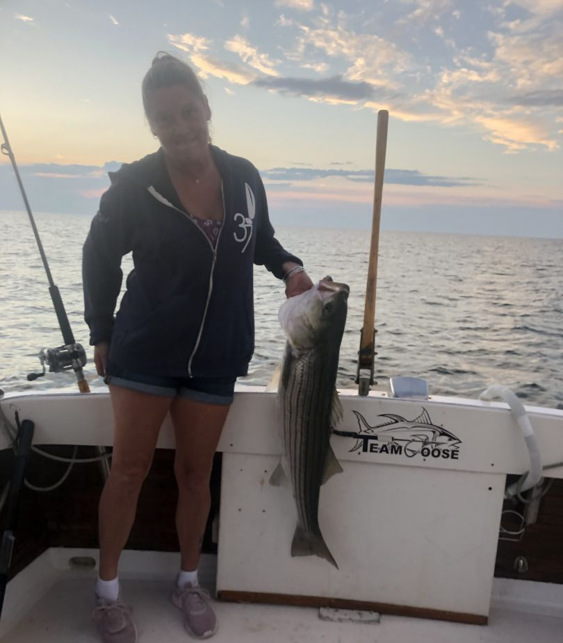 Striped bass caught fishing in Eastham