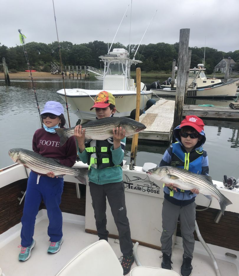 Three striped bass caught in MA