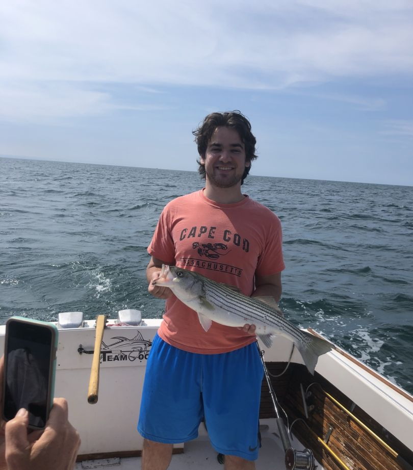 Striped bass caught in Eastham