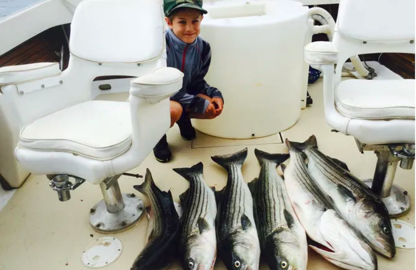 4 striped bass caught by angler in Eastham