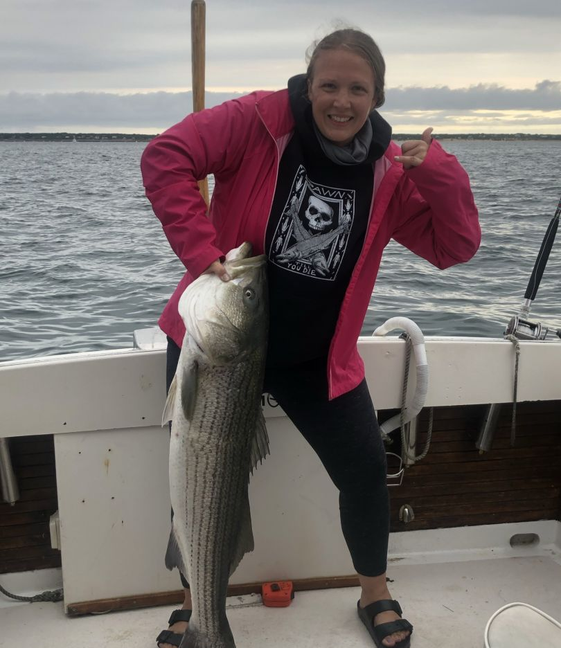 Striped bass caught in MA
