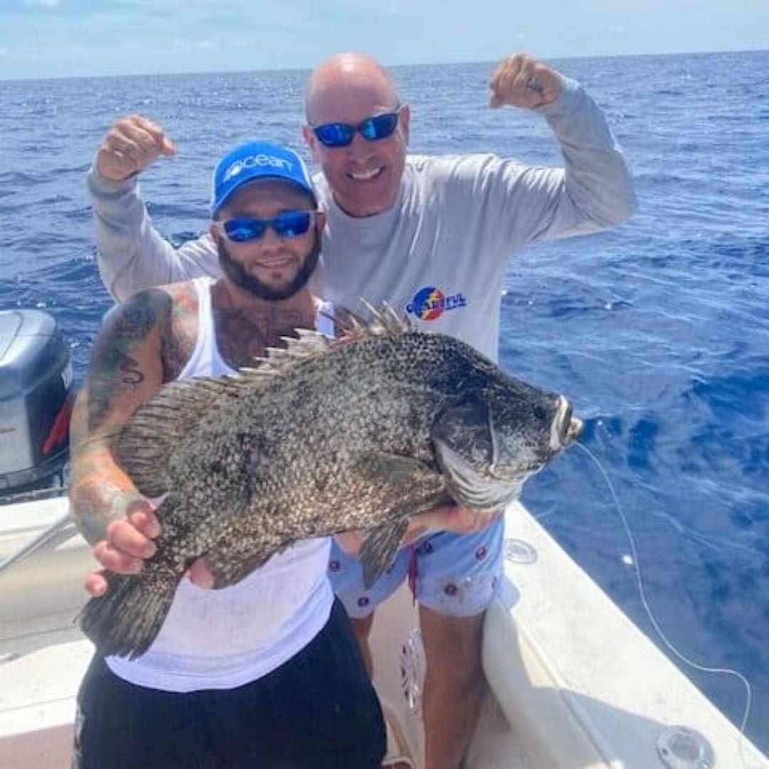 Huge tripletail fish caught in Pompano Beach