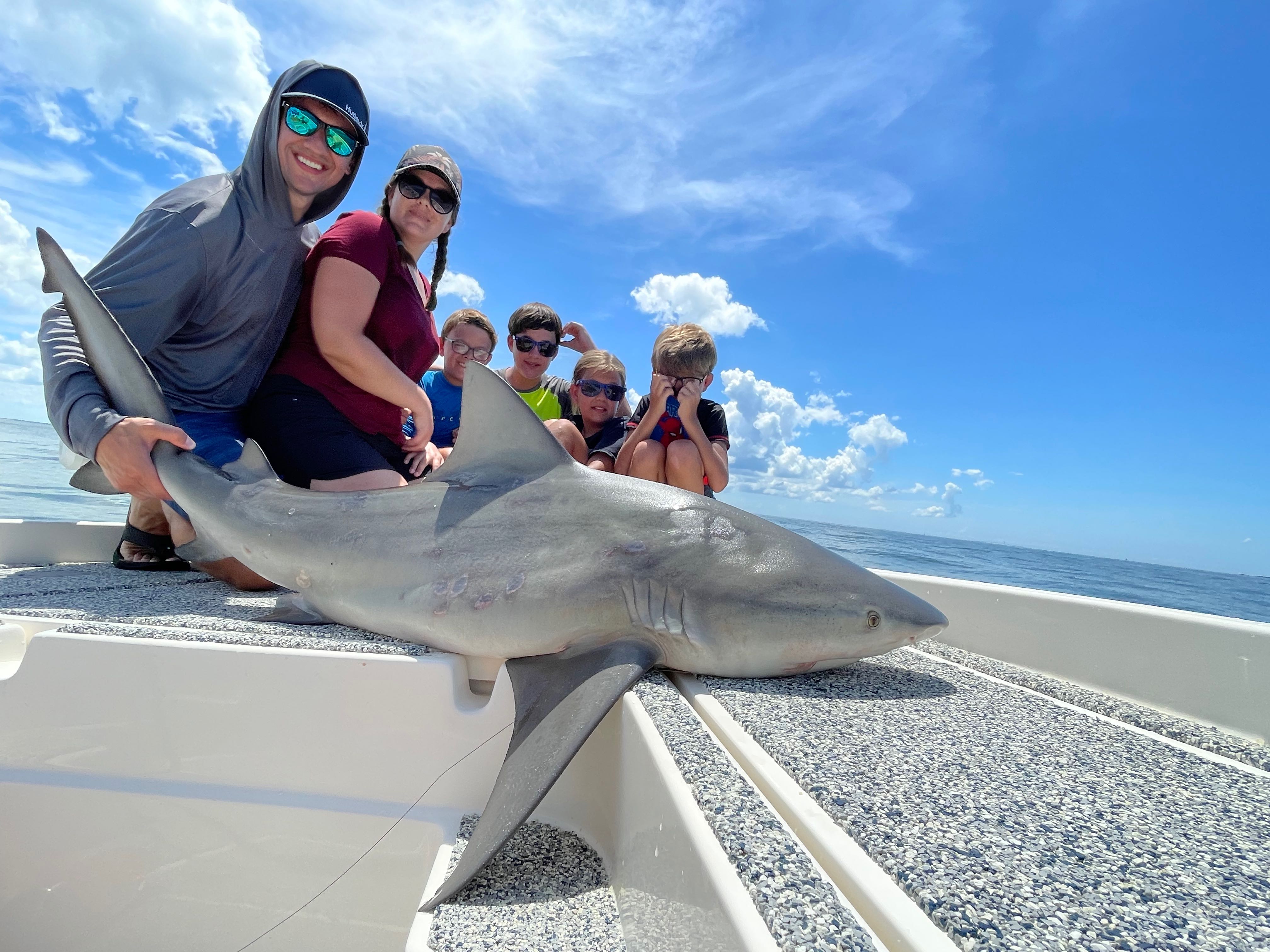 A Sandbar Shark measuring 52 inches caught while fishing in St. Petersburg