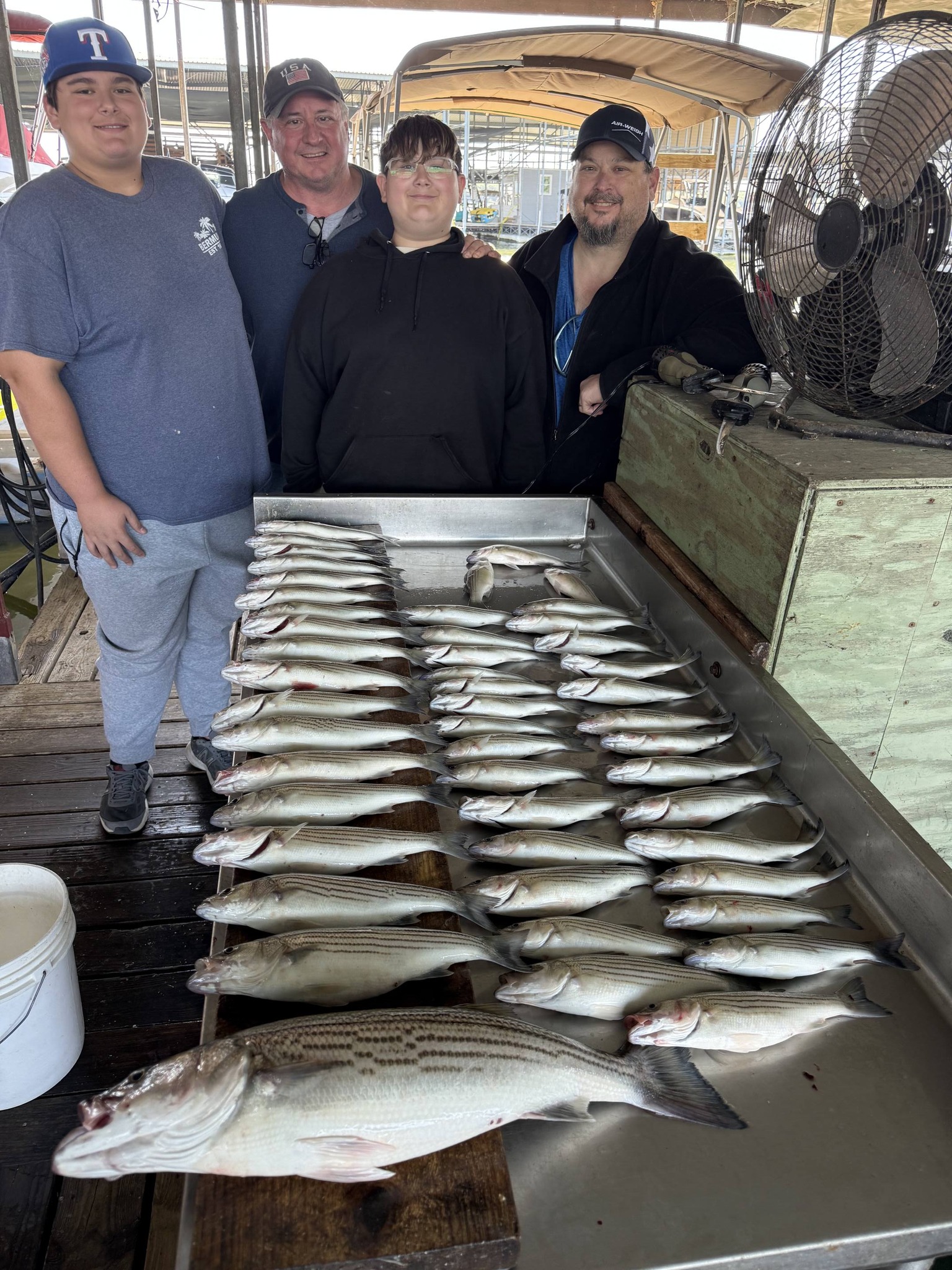 Large catch of striped bass displayed on fishing dock in Pottsboro TX
