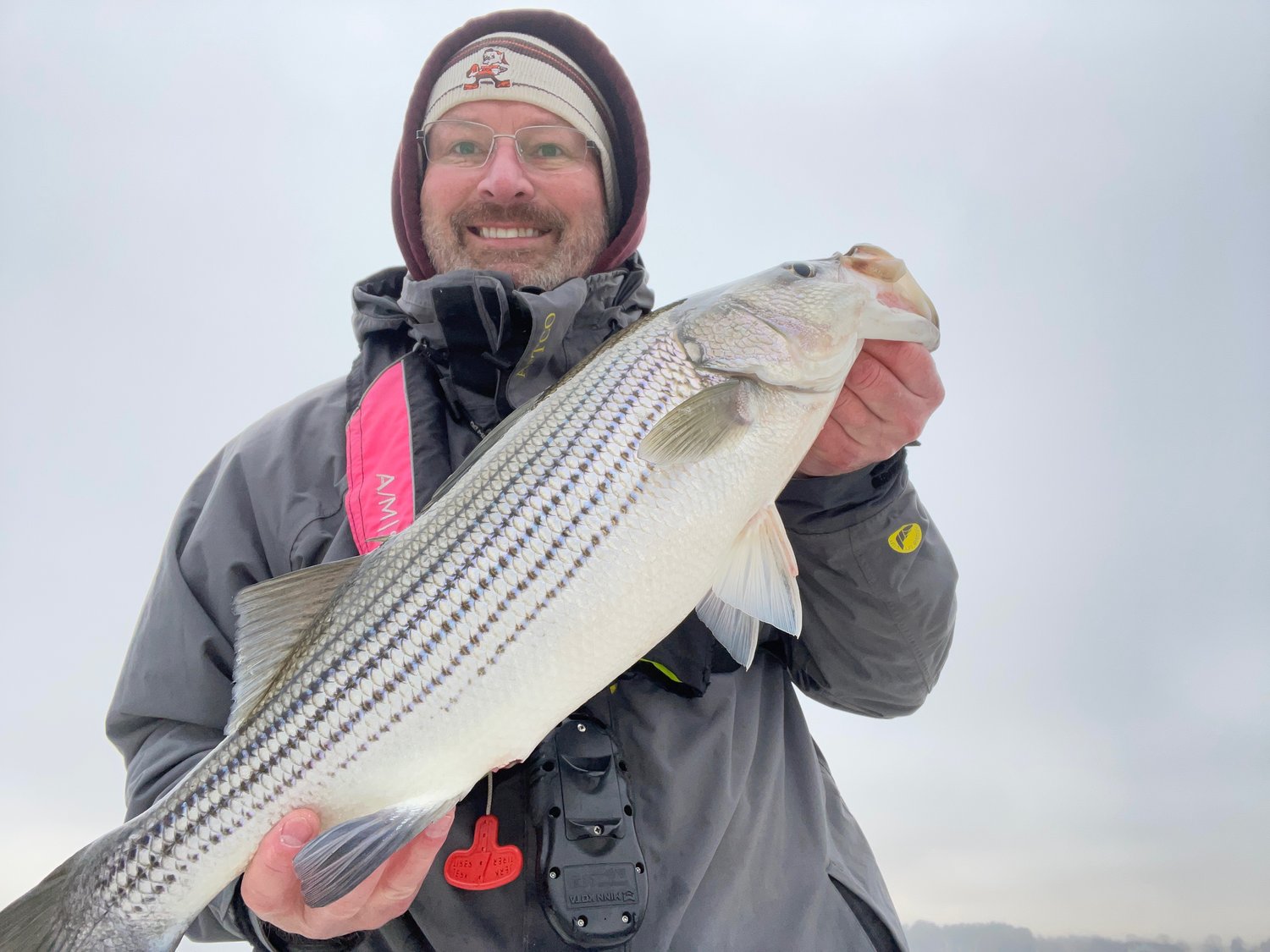 Striped bass caught by angler in Chapin
