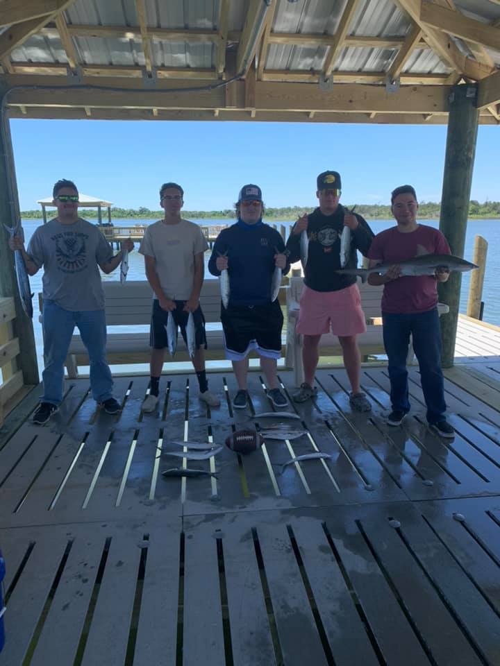 Bonnethead shark, 28 inches, caught in Newport