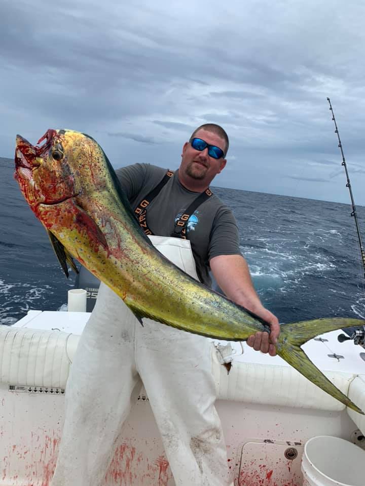 A single 24-inch mahi mahi fish caught in NC