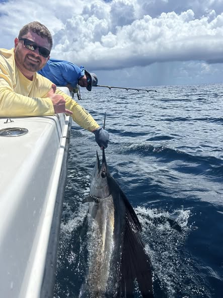 Atlantic Sailfish being held at boat side during fishing trip in Mount Pleasant SC