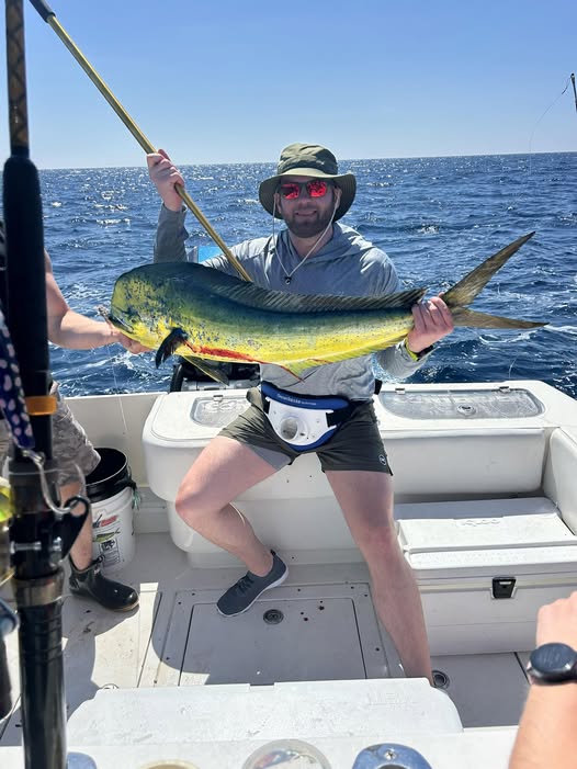 Mahi mahi catch on fishing boat in Mount Pleasant SC waters