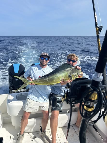 Mahi mahi fishing catch displayed on boat in Mount Pleasant SC waters