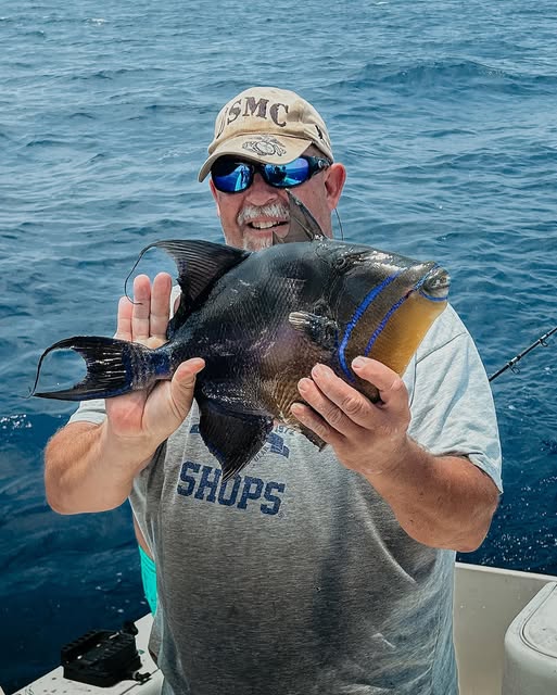 Queen Triggerfish caught while fishing in Mount Pleasant SC waters