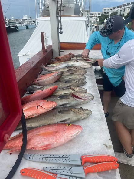 Fresh caught silk snapper and other fish displayed on boat cleaning station in Mount Pleasant SC