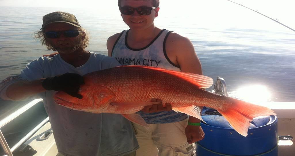 Grey Snapper, a 28-inch fish caught while fishing in FL