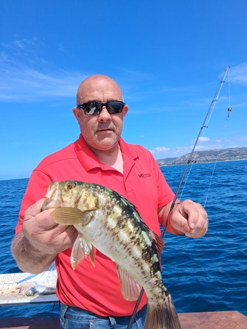 Kelp bass caught while fishing in Dana Point CA waters
