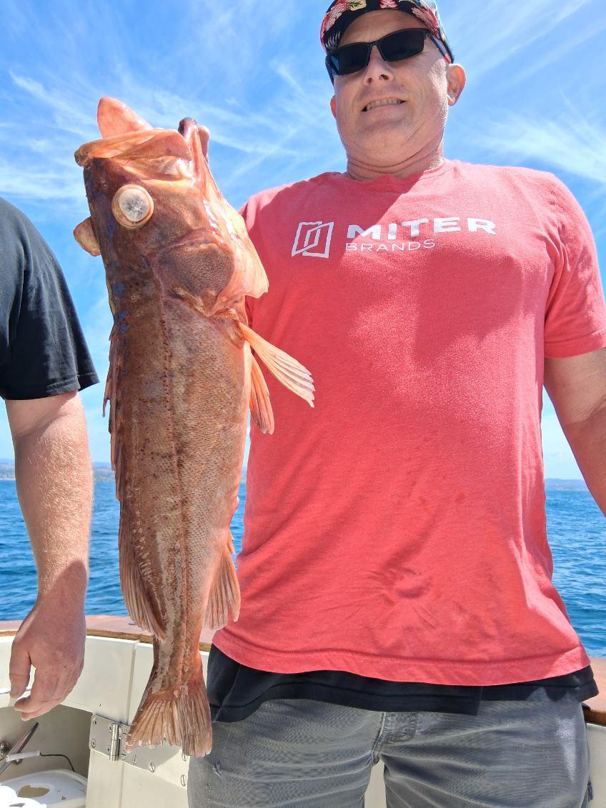 Fresh caught rockfish displayed on fishing charter boat in Dana Point CA