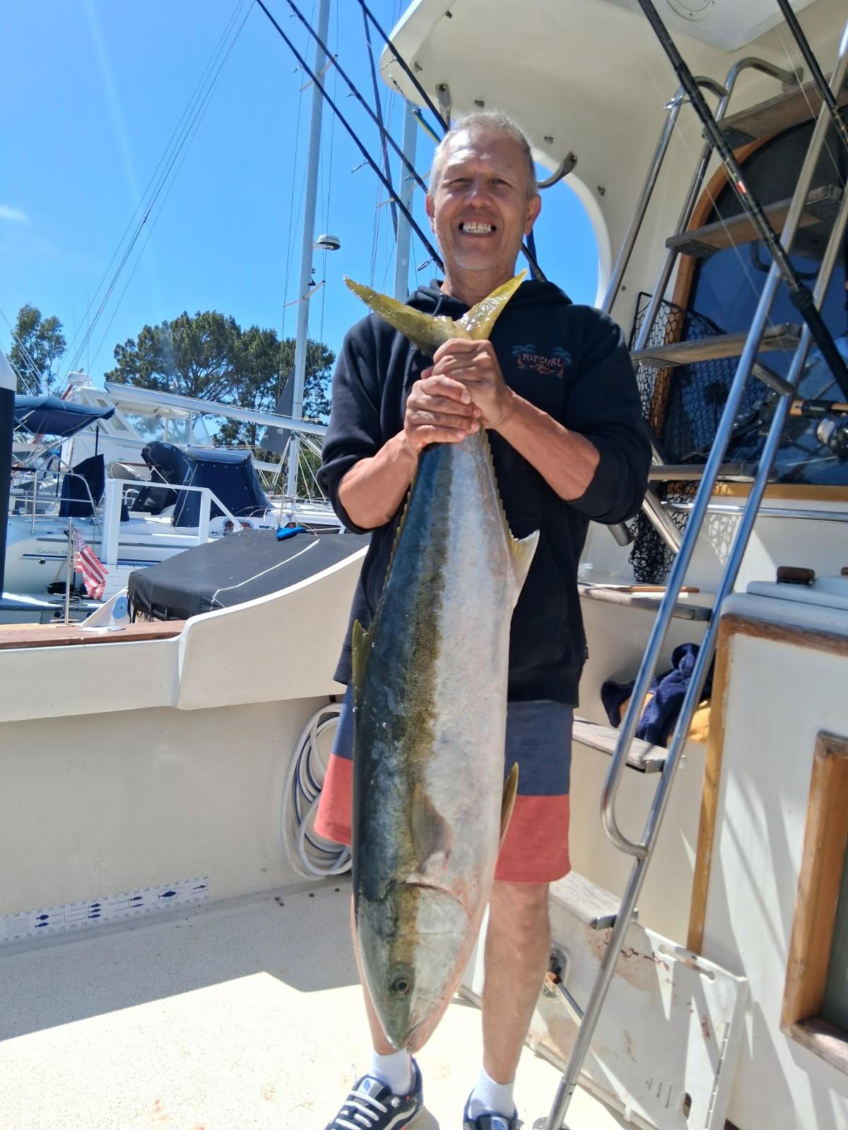 Large yellowtail amberjack caught during fishing charter in Dana Point CA