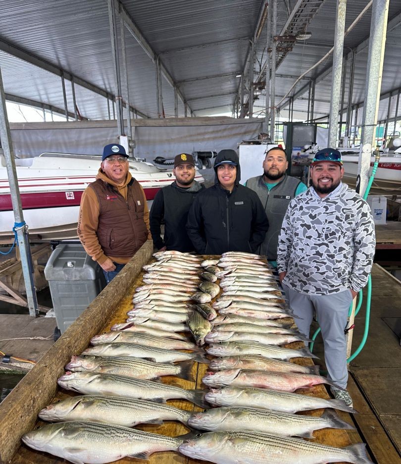 5 bluefish caught while fishing in TX