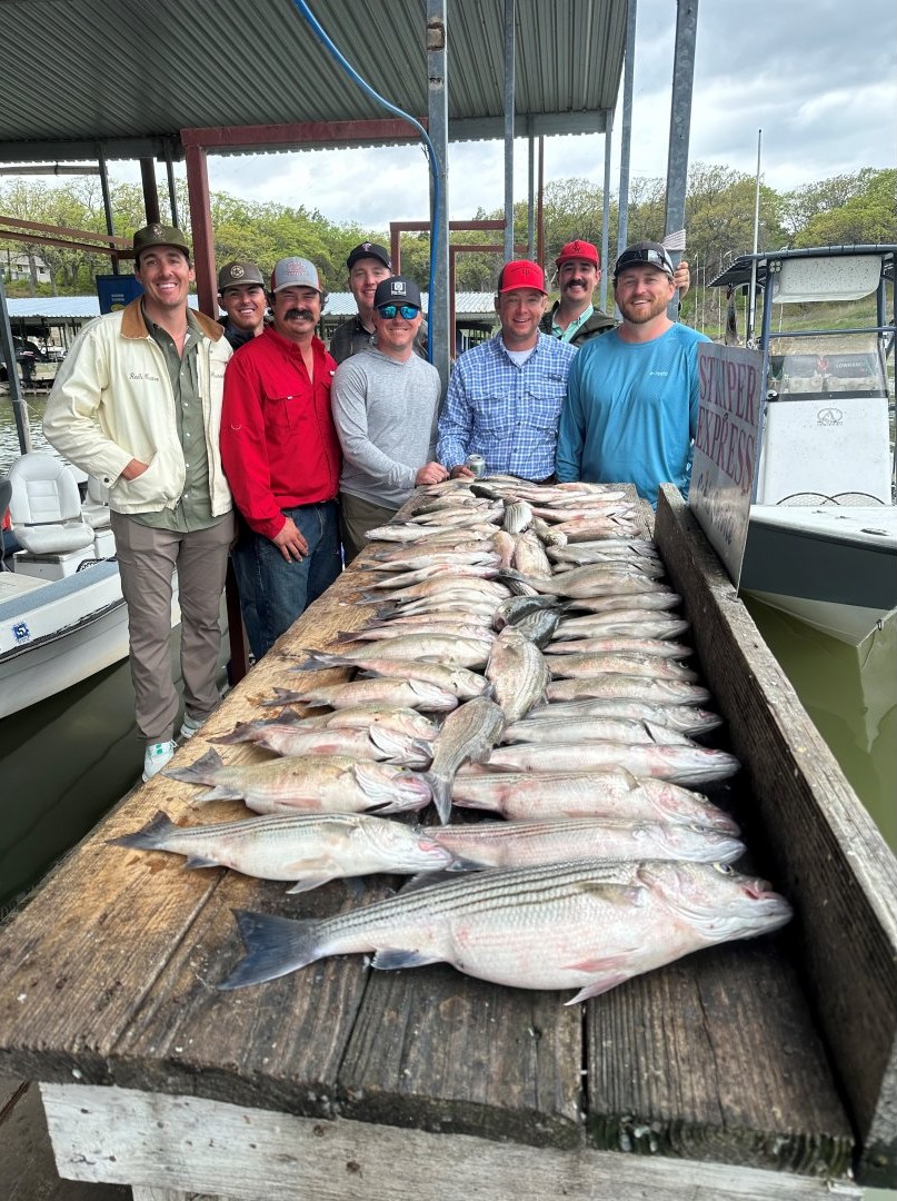 3 striped bass caught while fishing in Little Elm