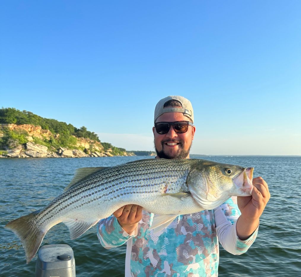 Striped bass catch in Little Elm