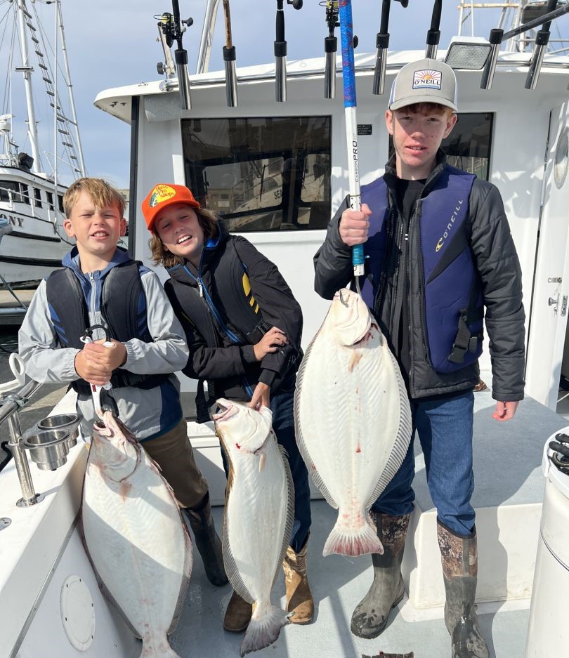 Three California Flounder caught in San Francisco