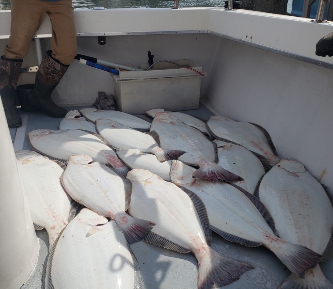 Two fish caught in CA while fishing