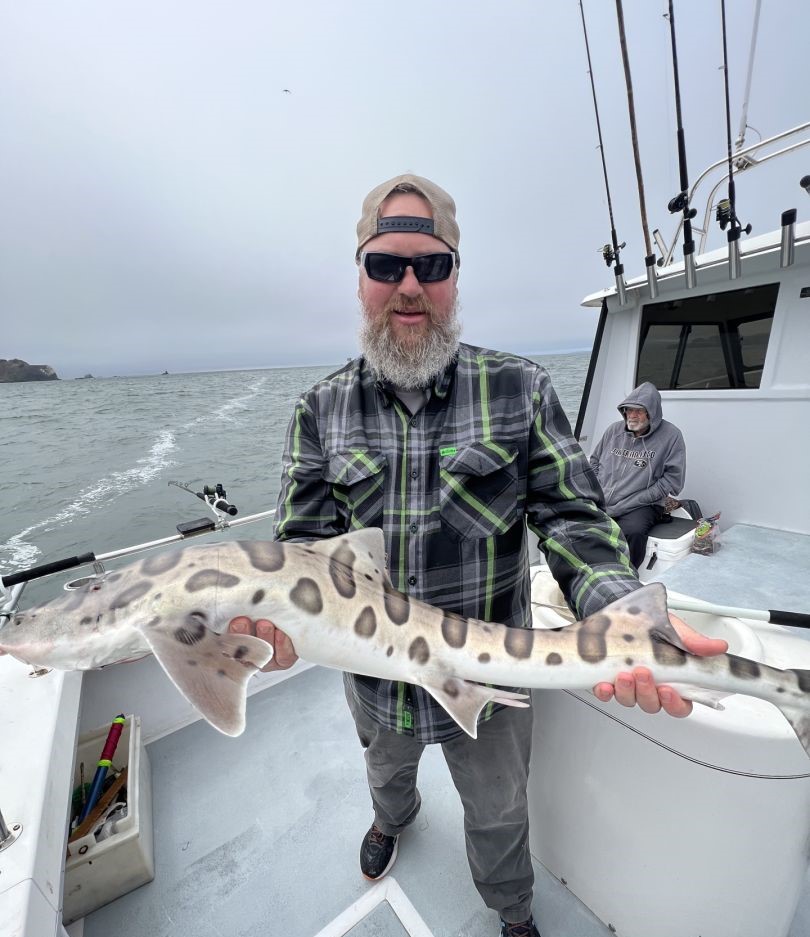 Leopard shark, 35 inches, caught while fishing in San Francisco