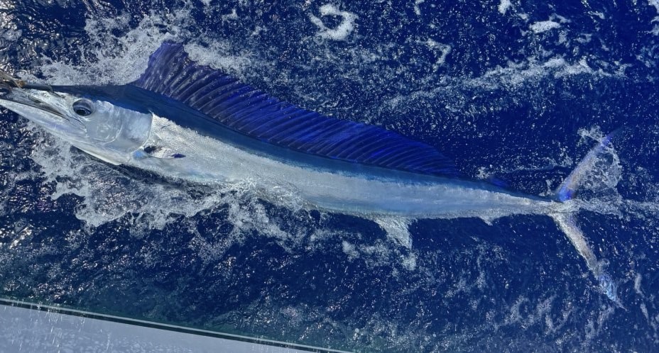 A photograph of a fishing adventure in Kailua-Kona