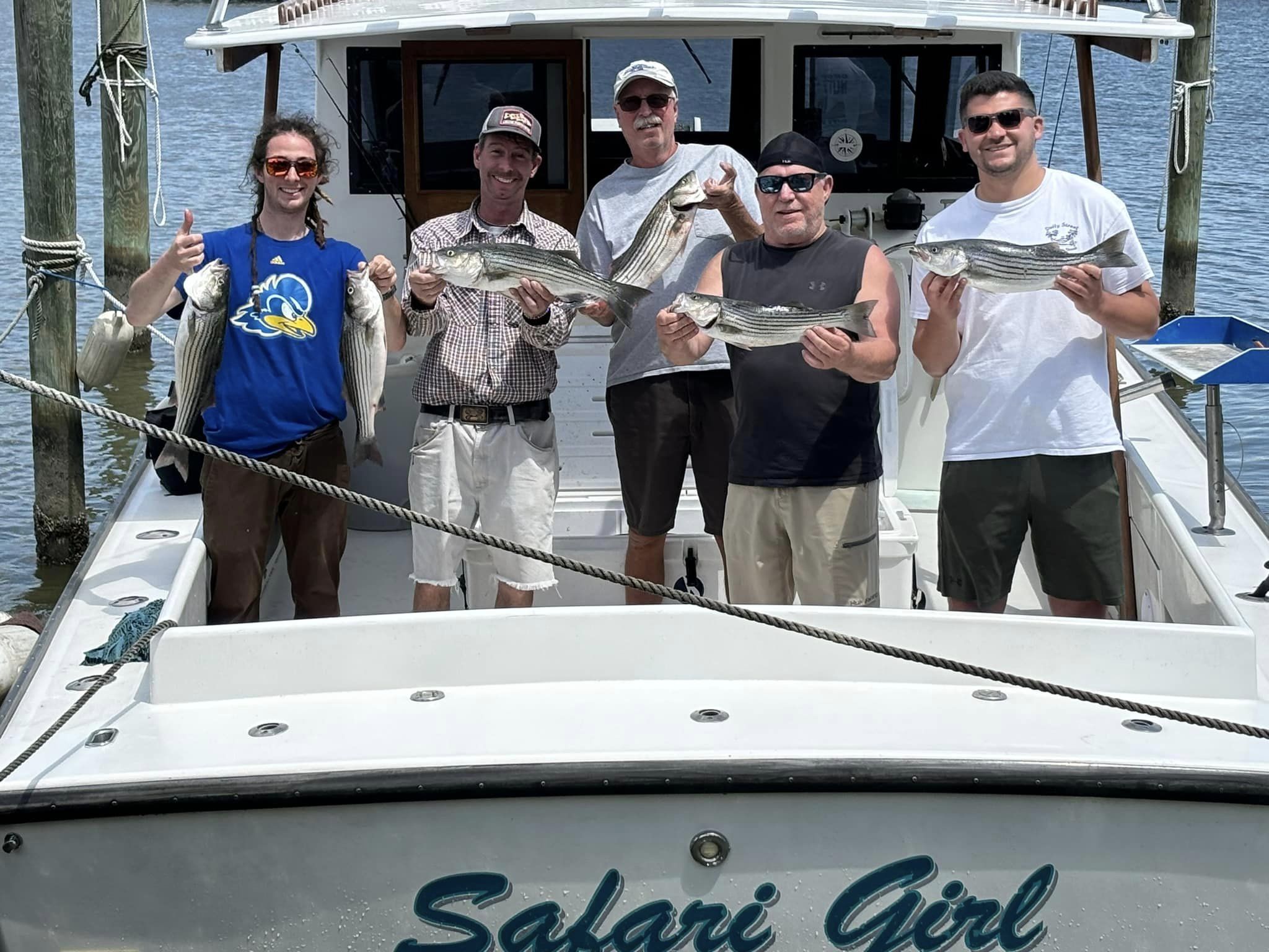 5 striped bass caught in Baltimore, Maryland