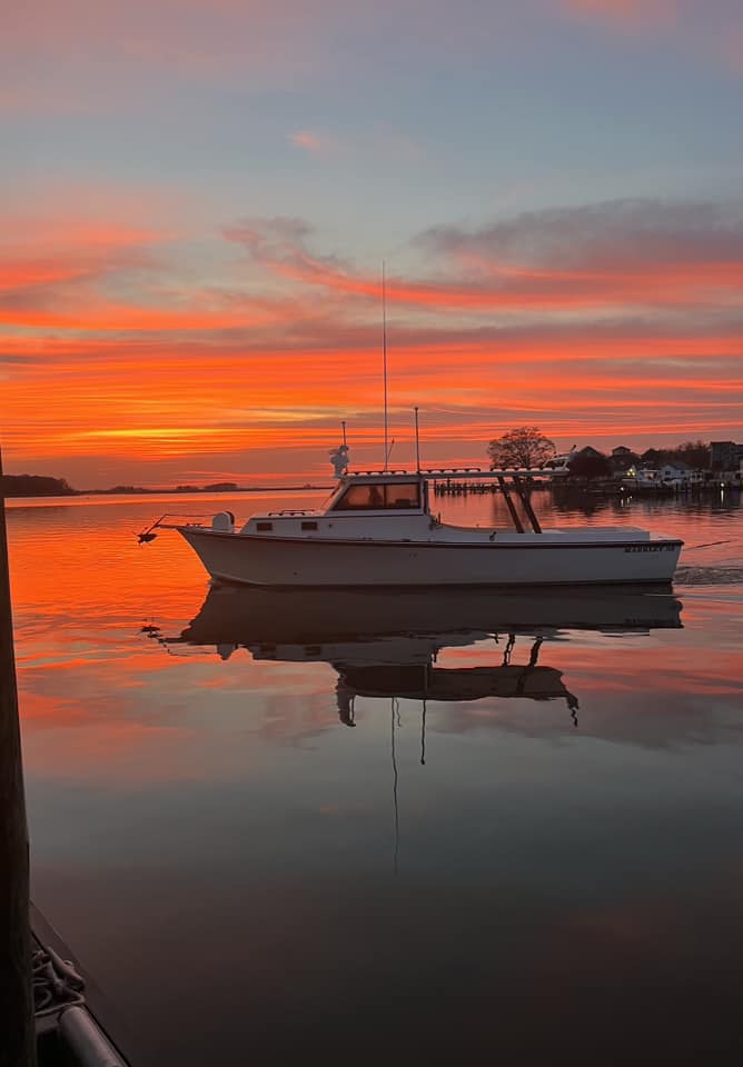 Scenic landscape with fishing gear in Maryland