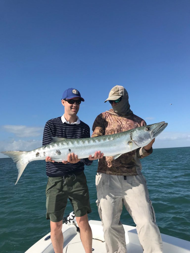 A large great barracuda fish in the water