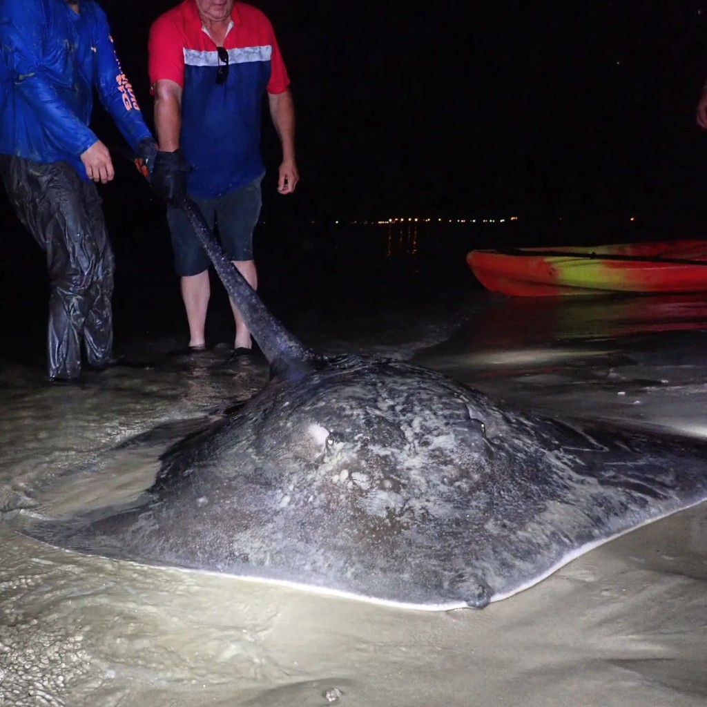 Stingray Fishing in Lewes, Delaware