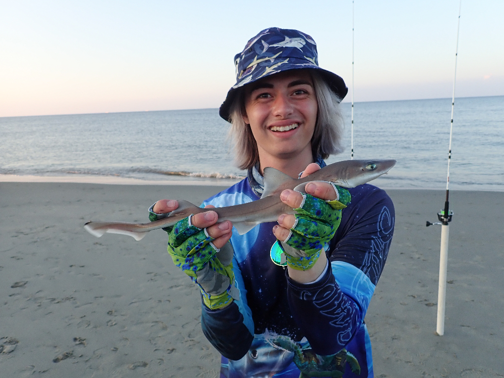 Caught a Baby Shark in Lewes, DE