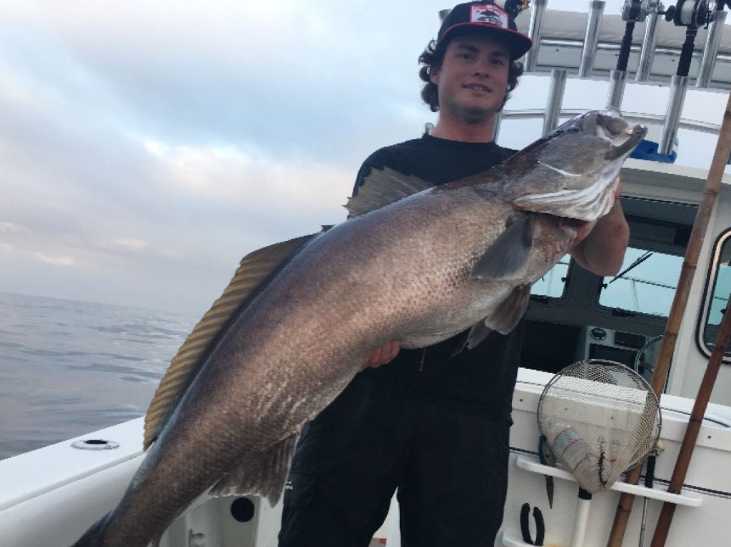 A lone fisherman reeling in a catch in California