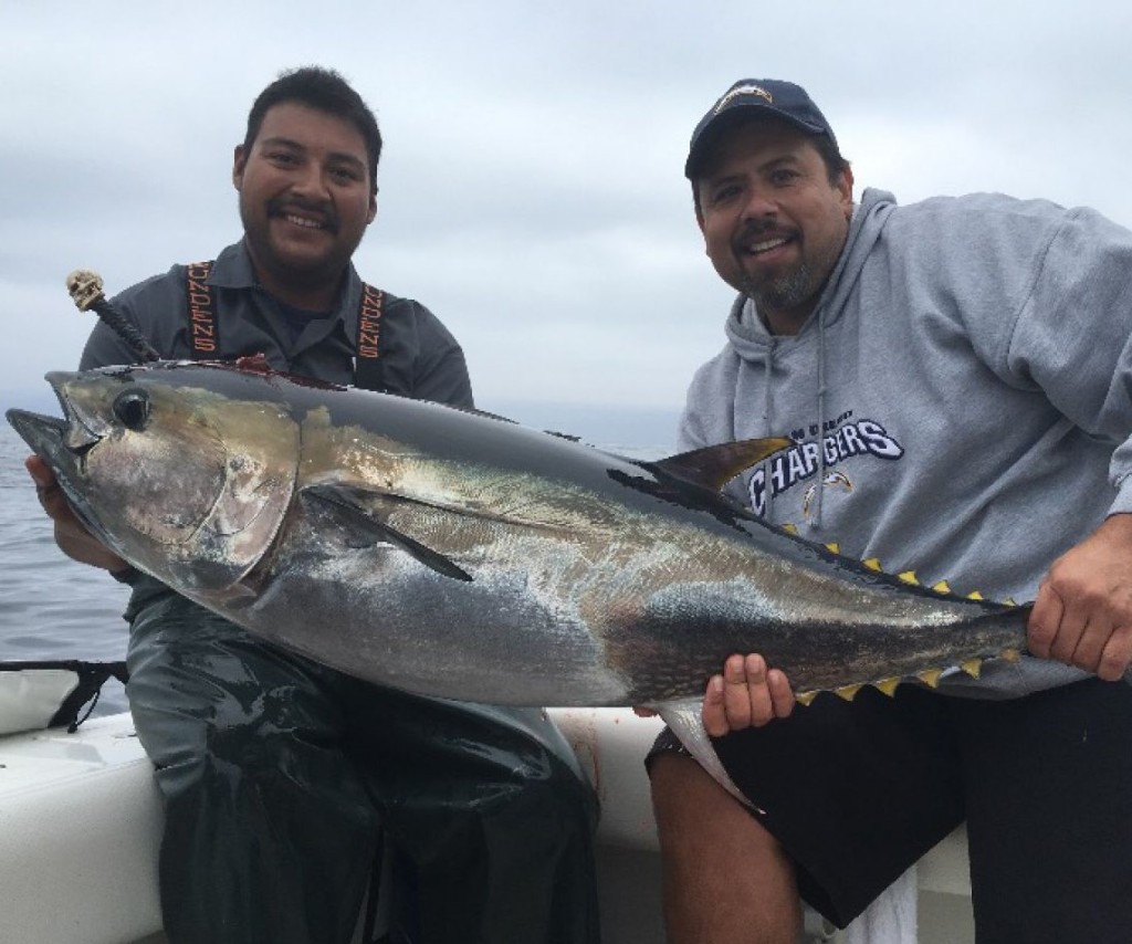 Yellowfin tuna caught while fishing in Dana Point