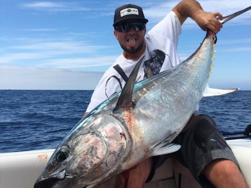 Yellowfin tuna caught fishing in Dana Point