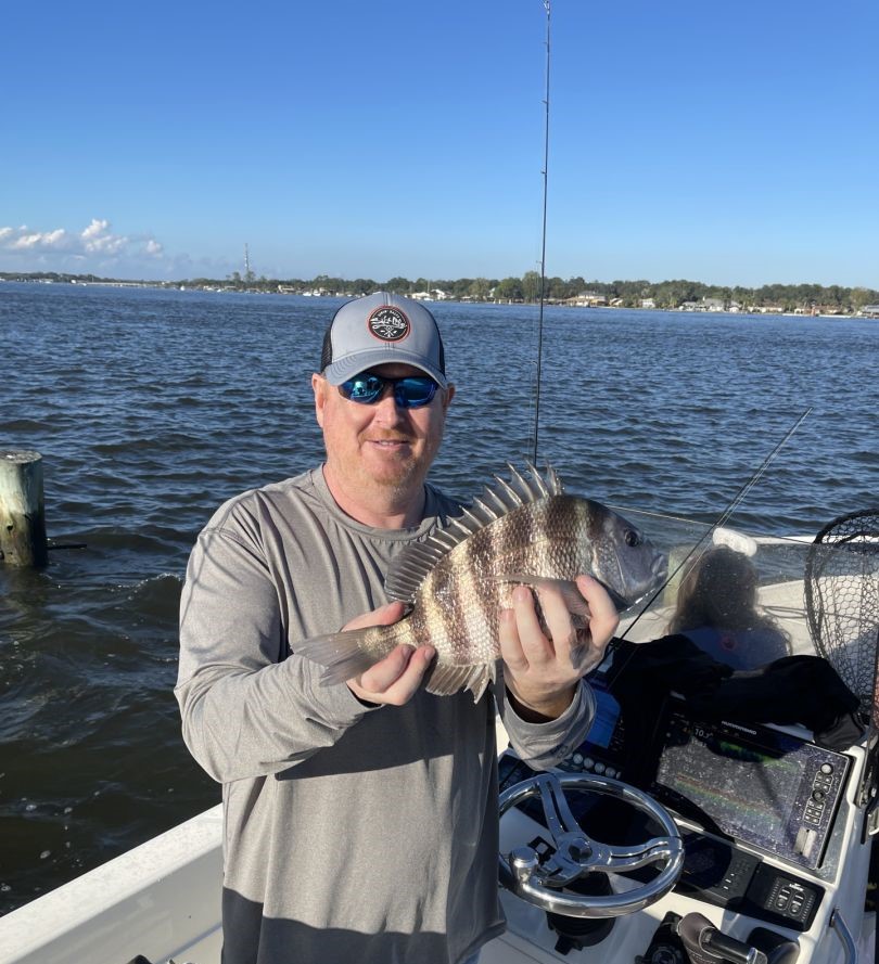 Sheepshead fish caught in Jacksonville