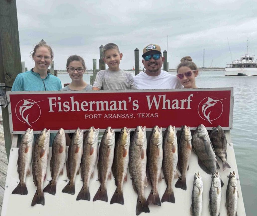 Successful fishing trip at Fisherman's Wharf in Port Aransas, Texas showing caught redfish, speckled trout, sheepshead and black drum