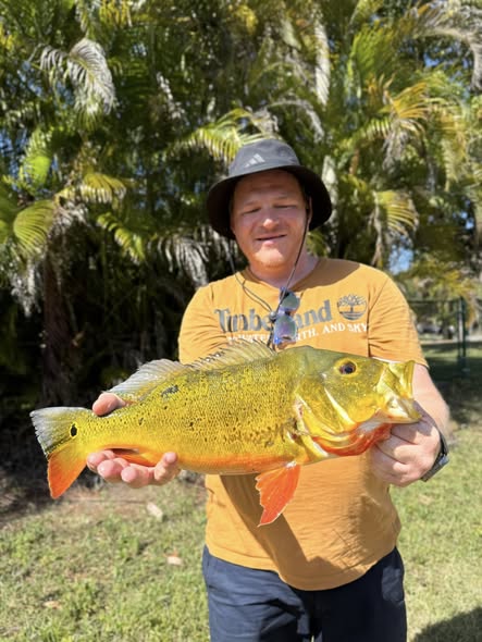 Freshly caught peacock bass being displayed in Miami Florida fishing trip
