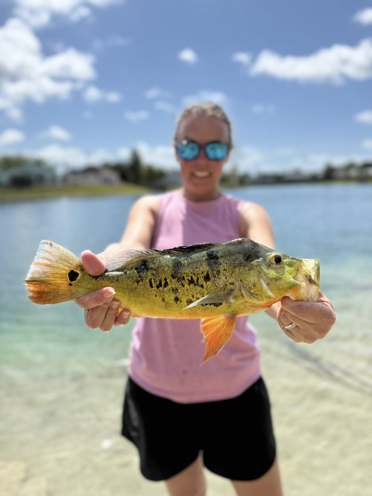Peacock bass caught while fishing in Miami FL