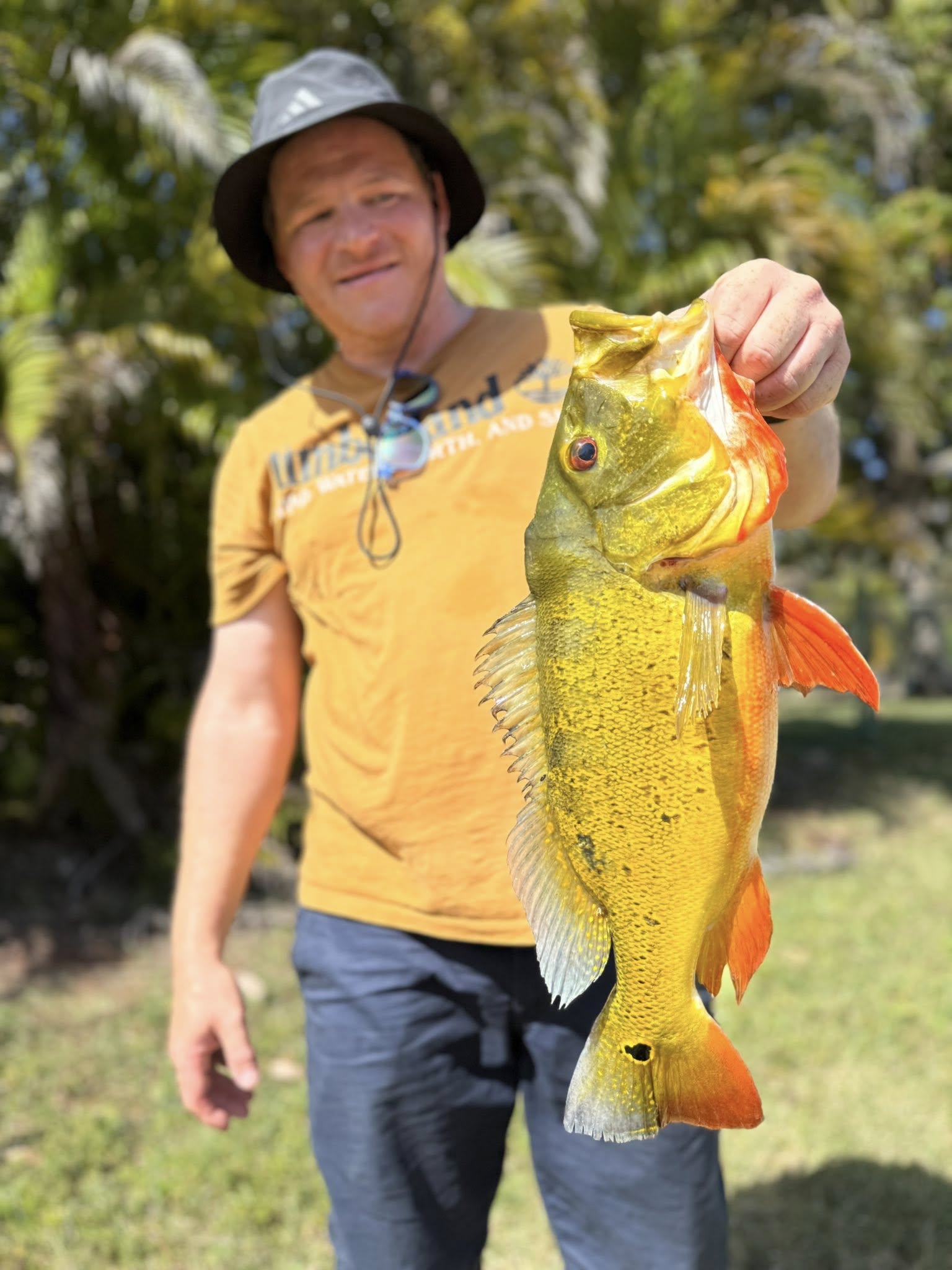 Peacock bass caught while fishing in Miami FL