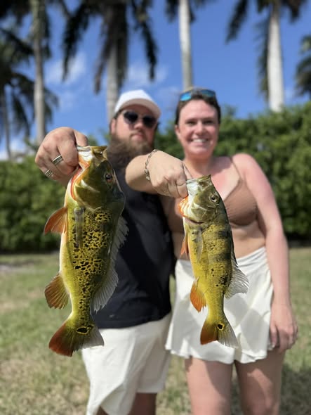 Two peacock bass caught fishing in Miami FL displayed with palm trees in background
