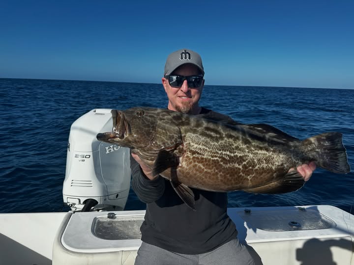 Black grouper caught while fishing in Pompano Beach FL waters