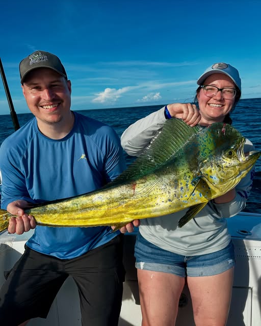 Fresh caught mahi mahi displayed on fishing boat in Pompano Beach FL