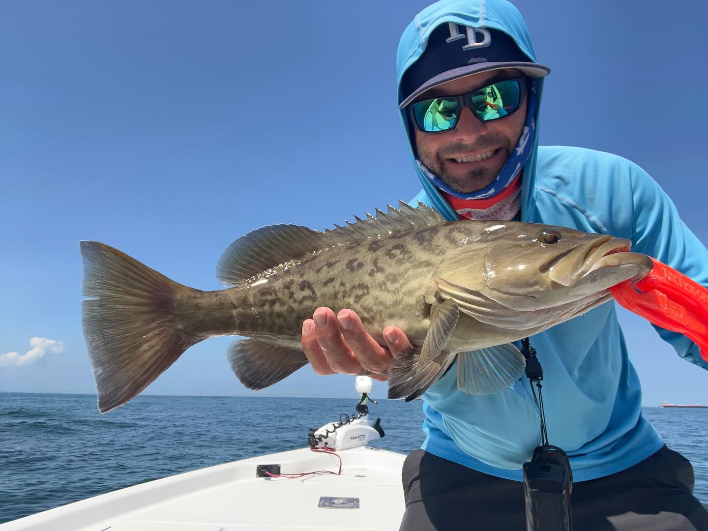 Gag grouper caught fishing in Ruskin